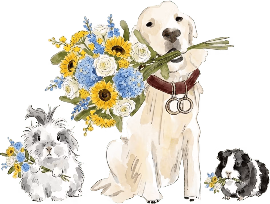 Aquarelle d'un chien tenant un bouquet de mariée, avec un lapin et un cochon d'Inde